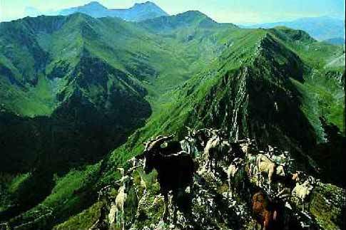 Mistero, magia, cultura, ambiente: il Parco Nazionale dei Monti Sibillini